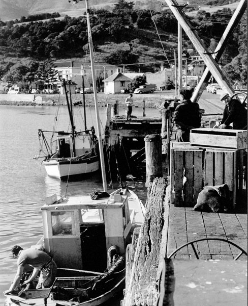 Fishing boats at Akaroa Wharf c.1969, Peter Beaven photograph, AK2103